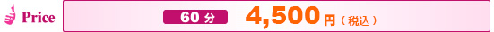 Price－60分・・・4,500円（税込）